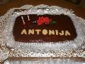 ANTONIJINA TORTA