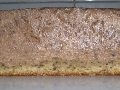 Vasina torta I i II 