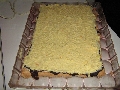 GOLINA TORTA